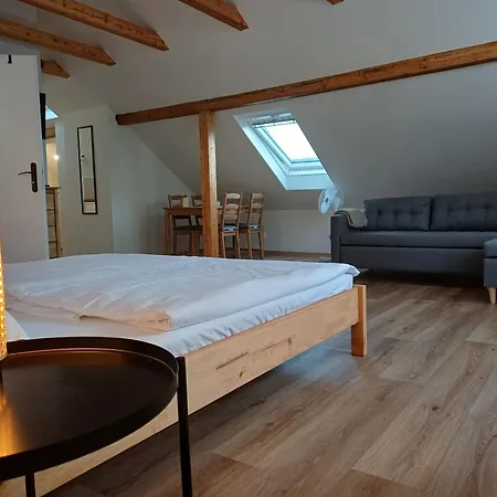 Loft Apartment Karlovy Vary