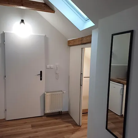 Loft * كارلوفي فاري