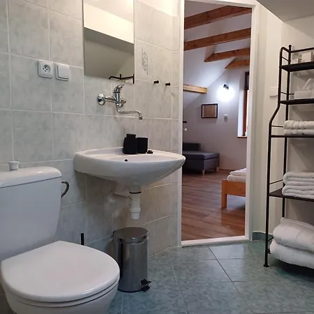 Loft شقة كارلوفي فاري