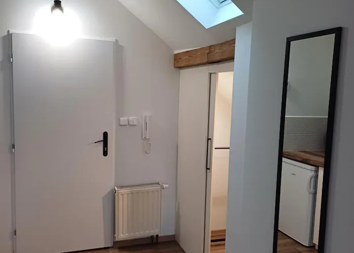 Loft * קרלובי וארי