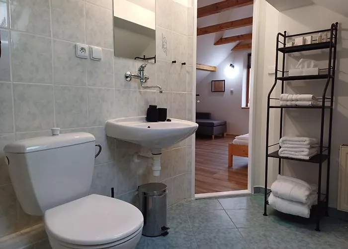Loft דירה קרלובי וארי